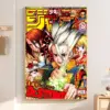S22437badc17843f2939e97d9fc2ef0dfa - Dr. Stone EU Store