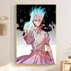 S288a8b7b52554ae38e0b31f300096611E - Dr. Stone EU Store