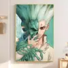 S35db67c0e2774546978b920dd8d1c03fS - Dr. Stone EU Store