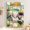 S3db79a95679a46b99f6f706b6f682b0fF - Dr. Stone EU Store