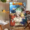 S86c0d65398fb4b55bd1473d49169a265I - Dr. Stone EU Store