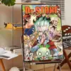 Sc266a1c0e9a64310a1ce8f407f3d58c9I - Dr. Stone EU Store