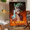 Sca9c8bcdeeff427ab9c791fb4d33de73h - Dr. Stone EU Store