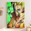 Sf3e077f9eb414571acf1da422ed2ad4em - Dr. Stone EU Store