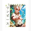 flat750x075f pad750x1000f8f8f8.u15 - Dr. Stone EU Store