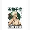 flat750x075f pad750x1000f8f8f8.u15 18 - Dr. Stone EU Store