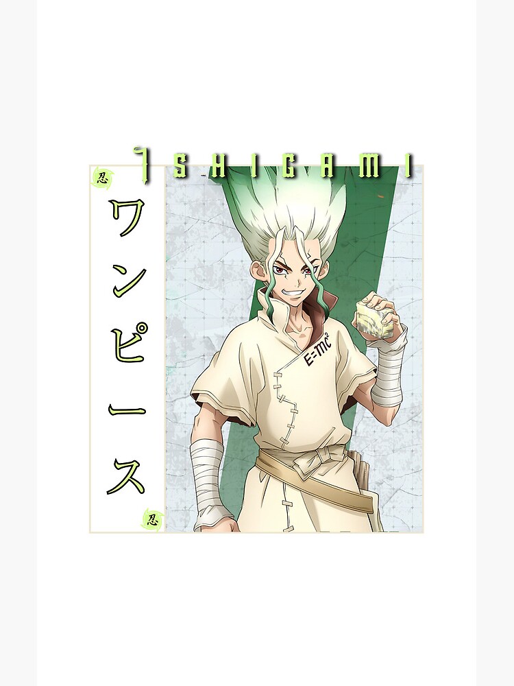 flat750x075f-pad750x1000f8f8f8.u15-19 flat750x075f pad750x1000f8f8f8.u15 19 - Dr. Stone EU Store