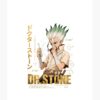 flat750x075f pad750x1000f8f8f8.u15 25 - Dr. Stone EU Store
