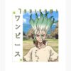 flat750x075f pad750x1000f8f8f8.u15 27 - Dr. Stone EU Store